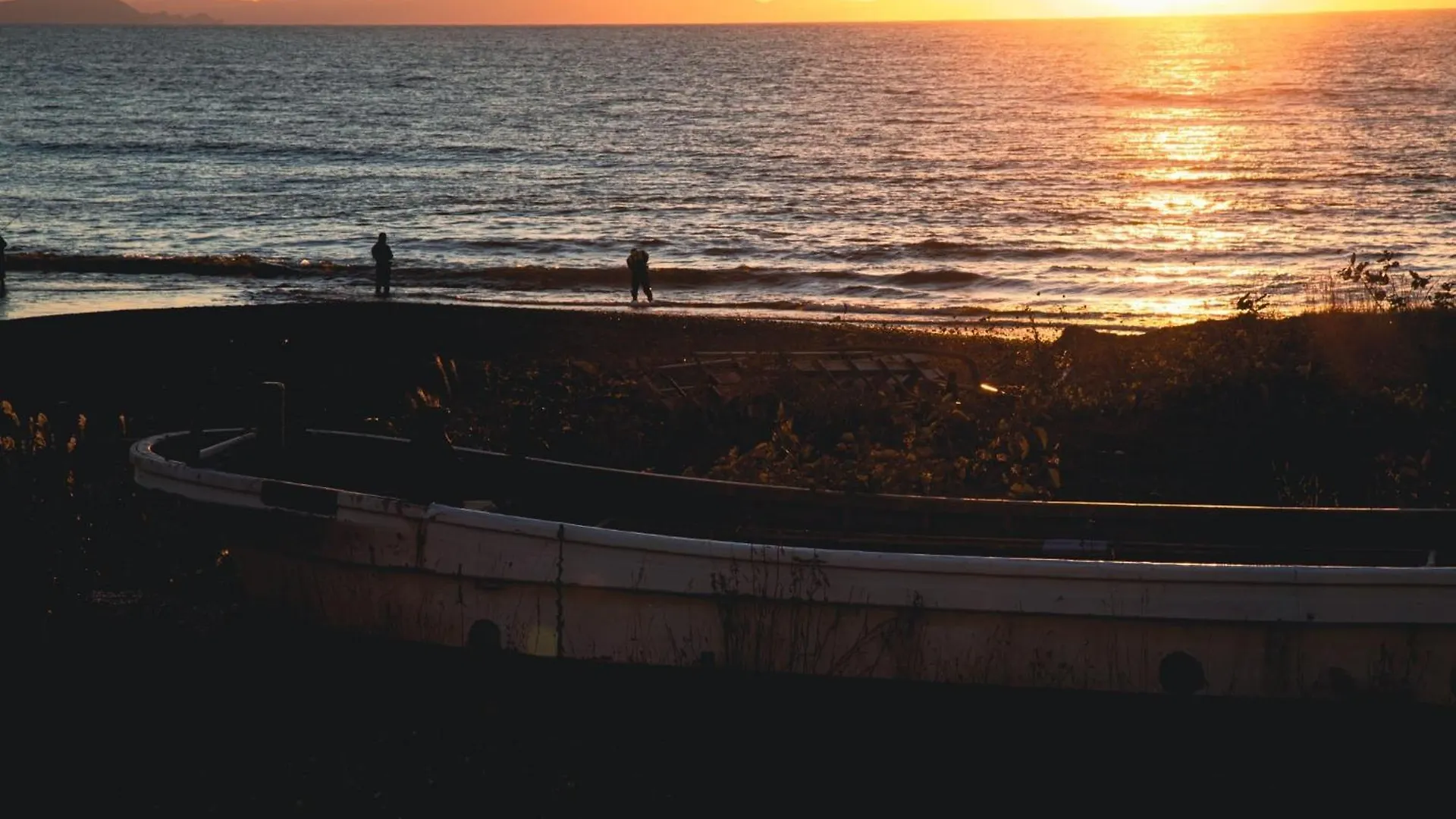 Populus Sunset 